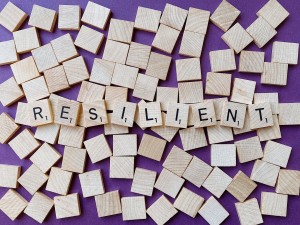 RESILIENCIA Imagen de Wokandapix en Pixabay